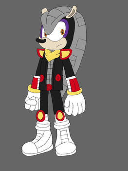 Cass the Armadillo
