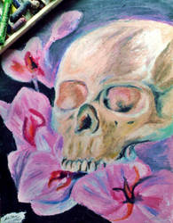 skull in pastel