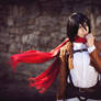 Mikasa Ackerman - Soldier of Humanity