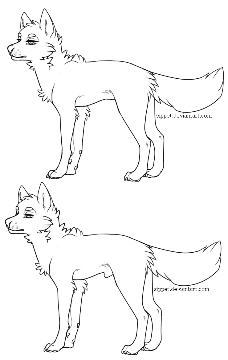 Free canine lineart.