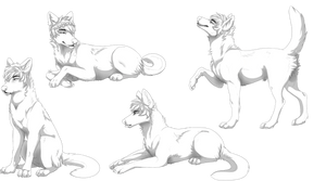 More Free Wolf Poses