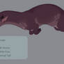 Otter Adopt 2 closed