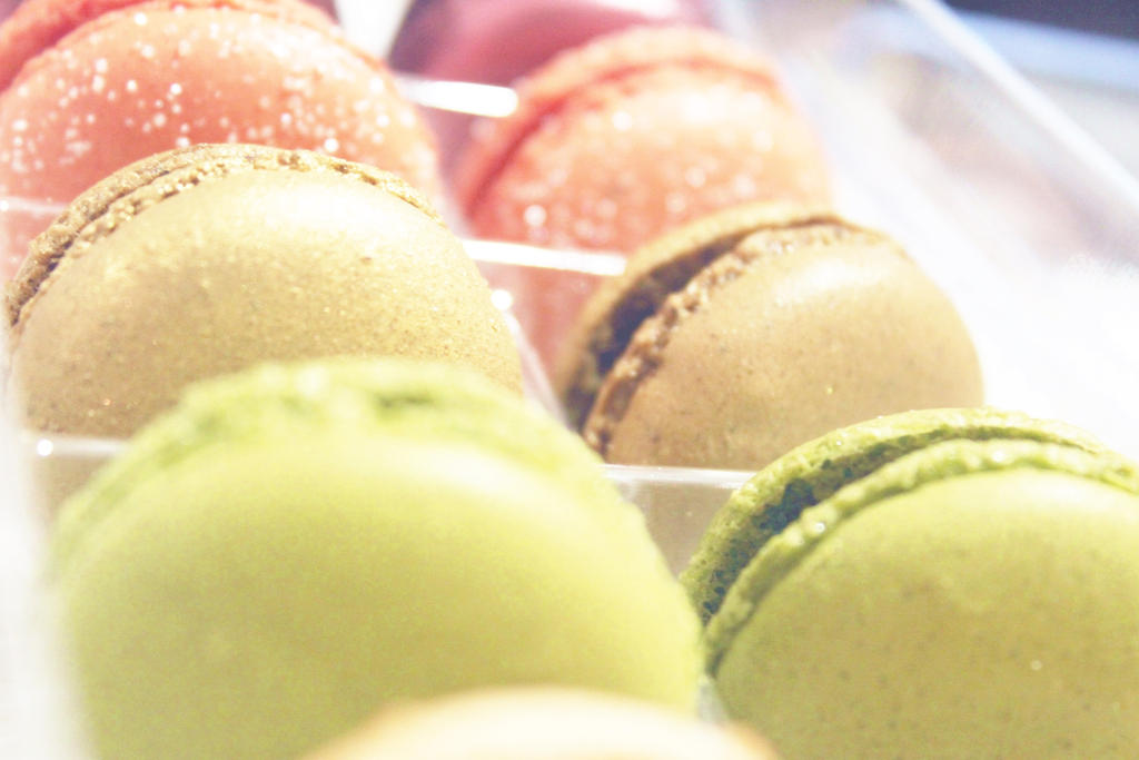 Macaron Palette