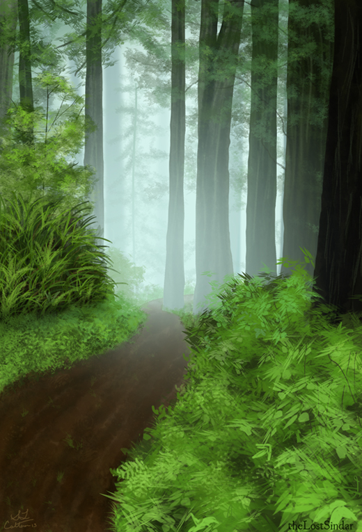 Forest Path