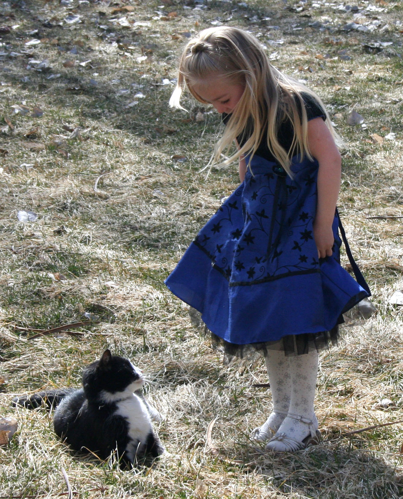 Blue Dress Lexi 9