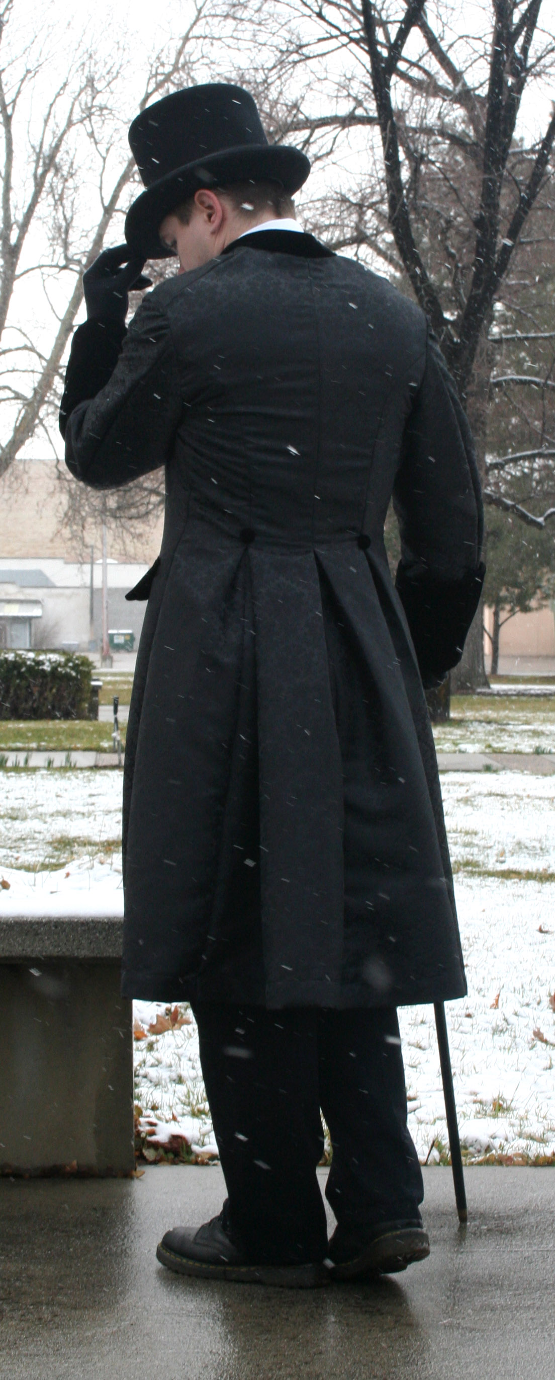 Brocade Victorian Gustov 15