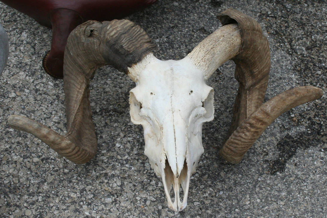 2008 Kansas Antiques 92 by Falln-Stock