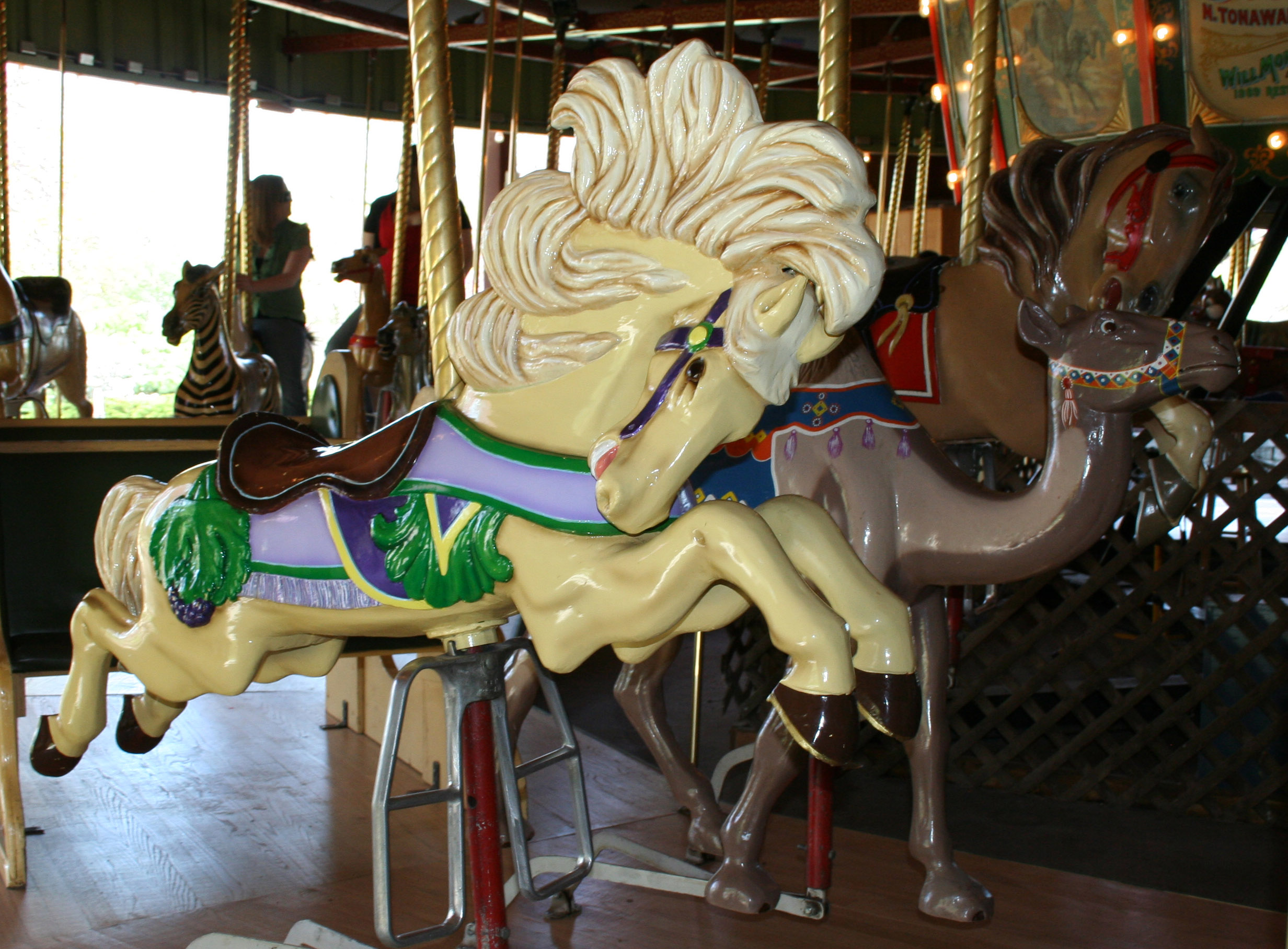 Gage Park Carousel 10