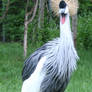 Gage Park Zoo 2 - Bird