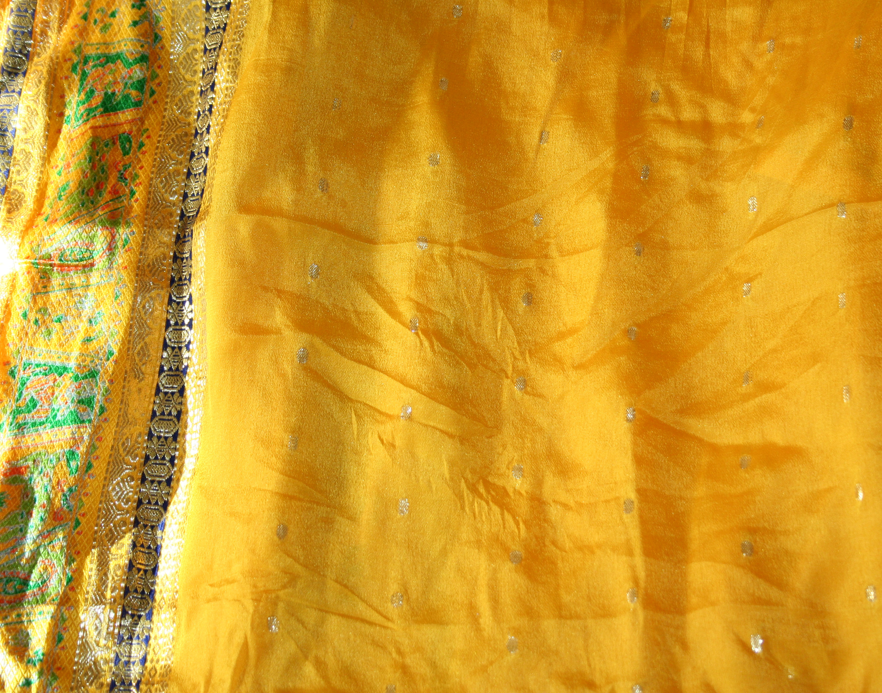 Sari Fabric 1