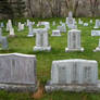 Mountain View Cemetery 42