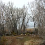 Bannack Ghost Town 260