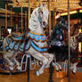 Missoula Carousel 3