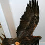 MoA Museum 173 Eagle