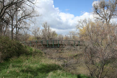 Zoo Montana Bridge 29