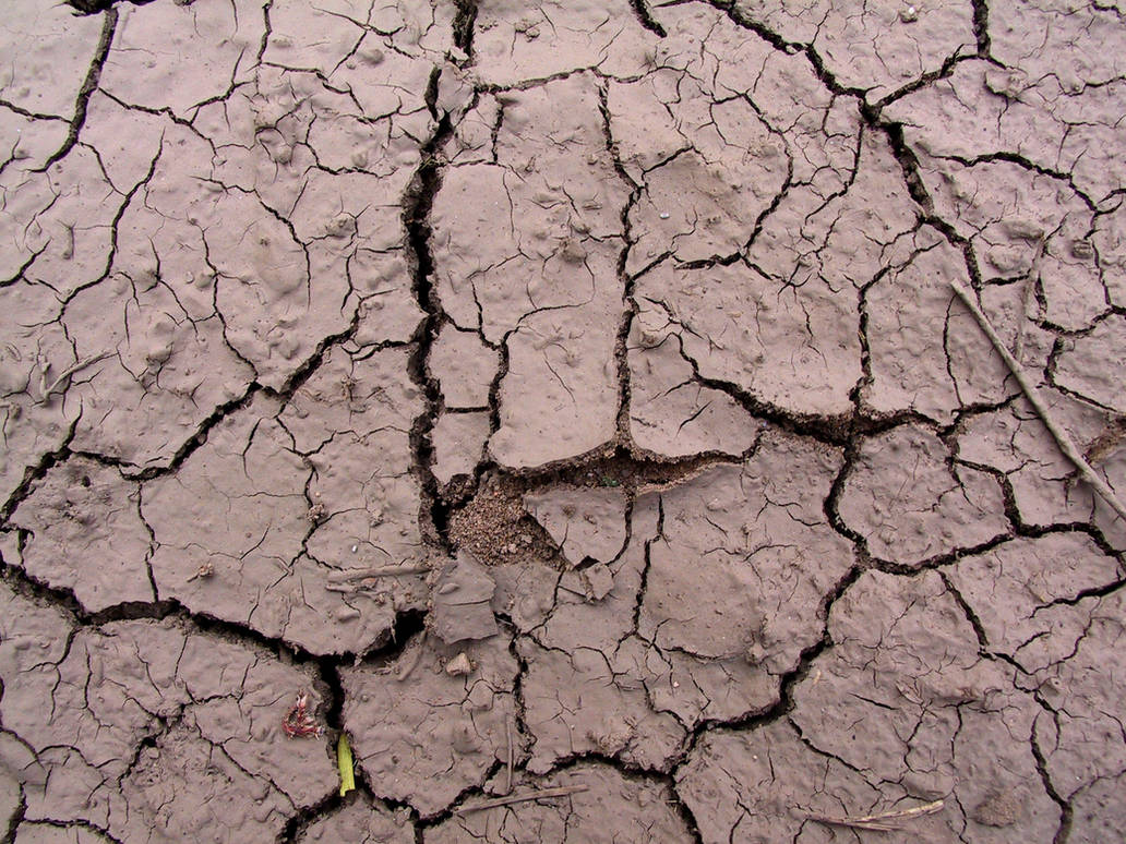 Cracked Mud Payson 1 by Falln-Stock