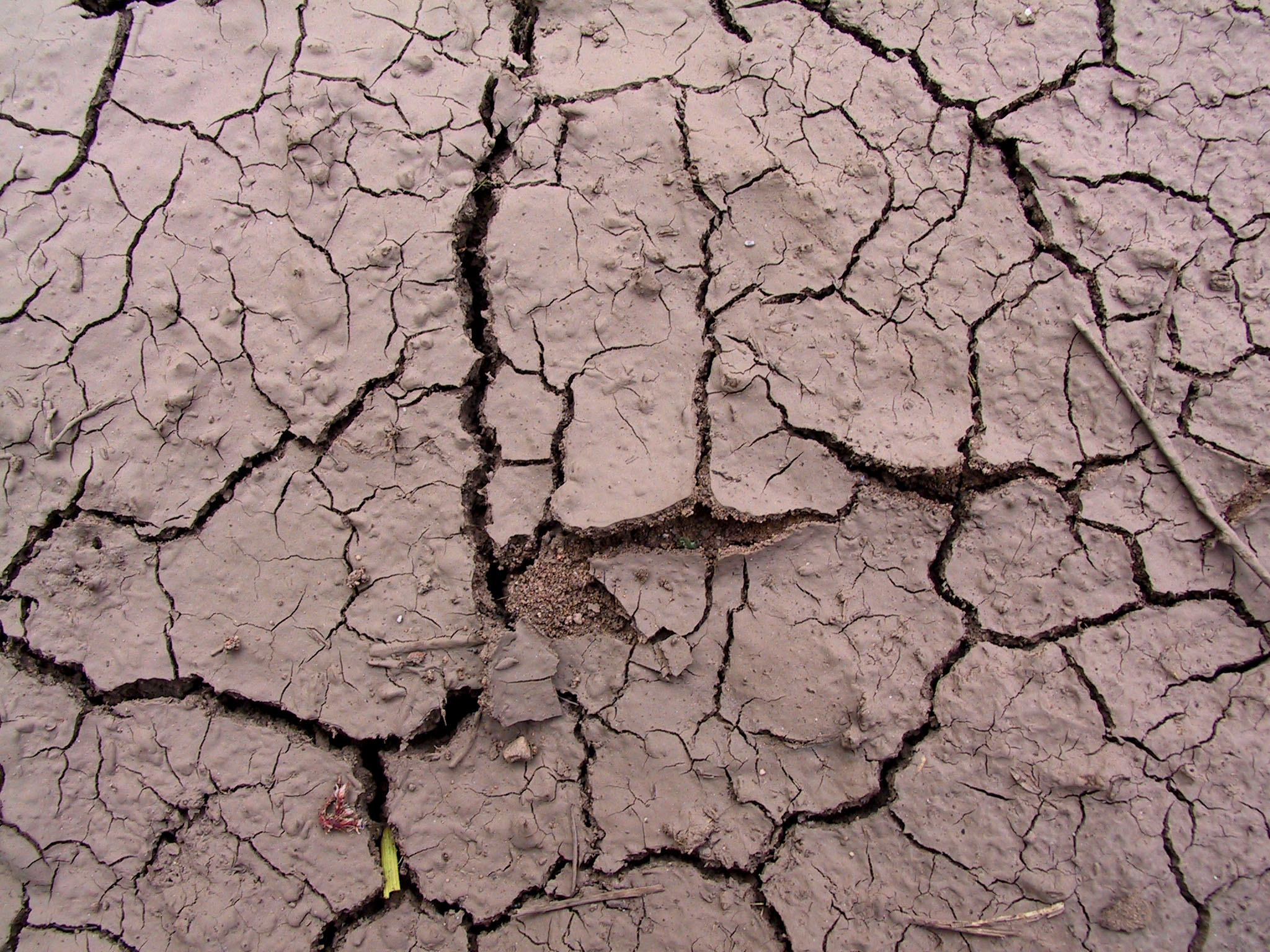 Cracked Mud Payson 1 by Falln-Stock