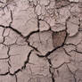Cracked Mud Payson 2