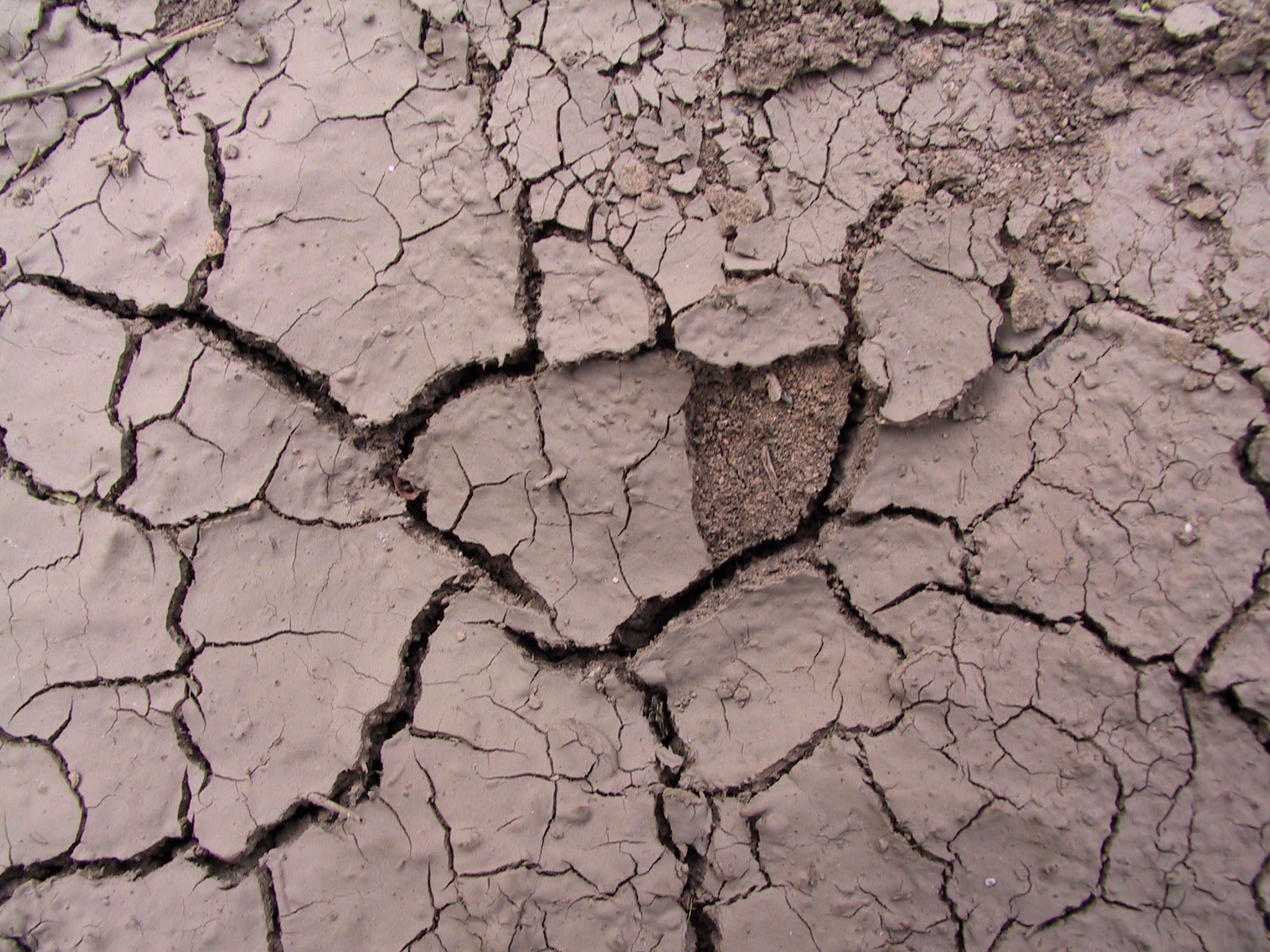 Cracked Mud Payson 2