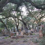 Beaufort Cemetery 38