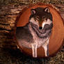 Grey Wolf painted on Wood