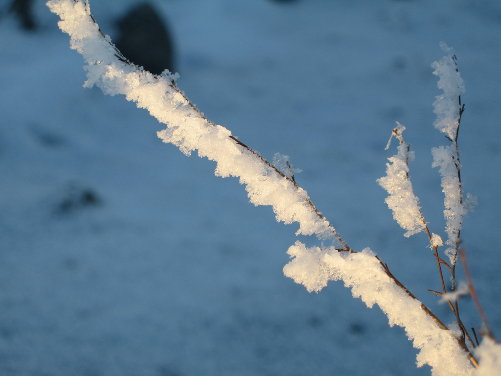 Ice Crystals