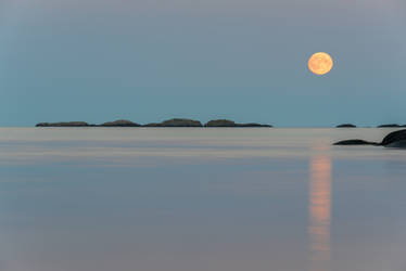 The Moon and the Melodies