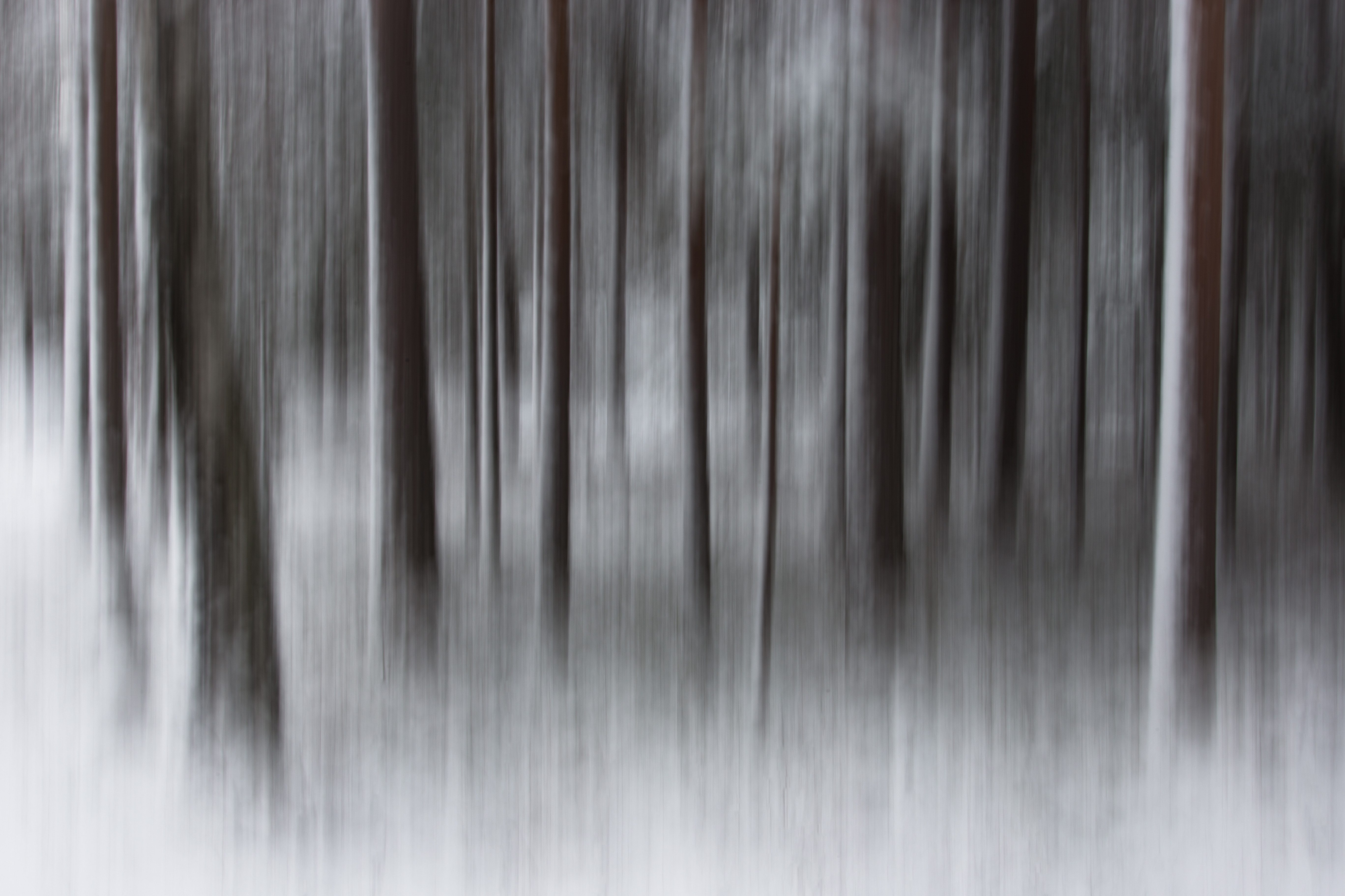Trees Tell Tales