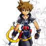 Sora in color