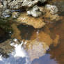 Wheelcart full or rocks and water