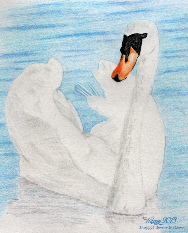 Swan Drawing