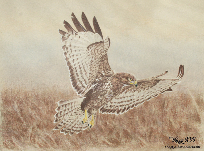 Buzzard Landing