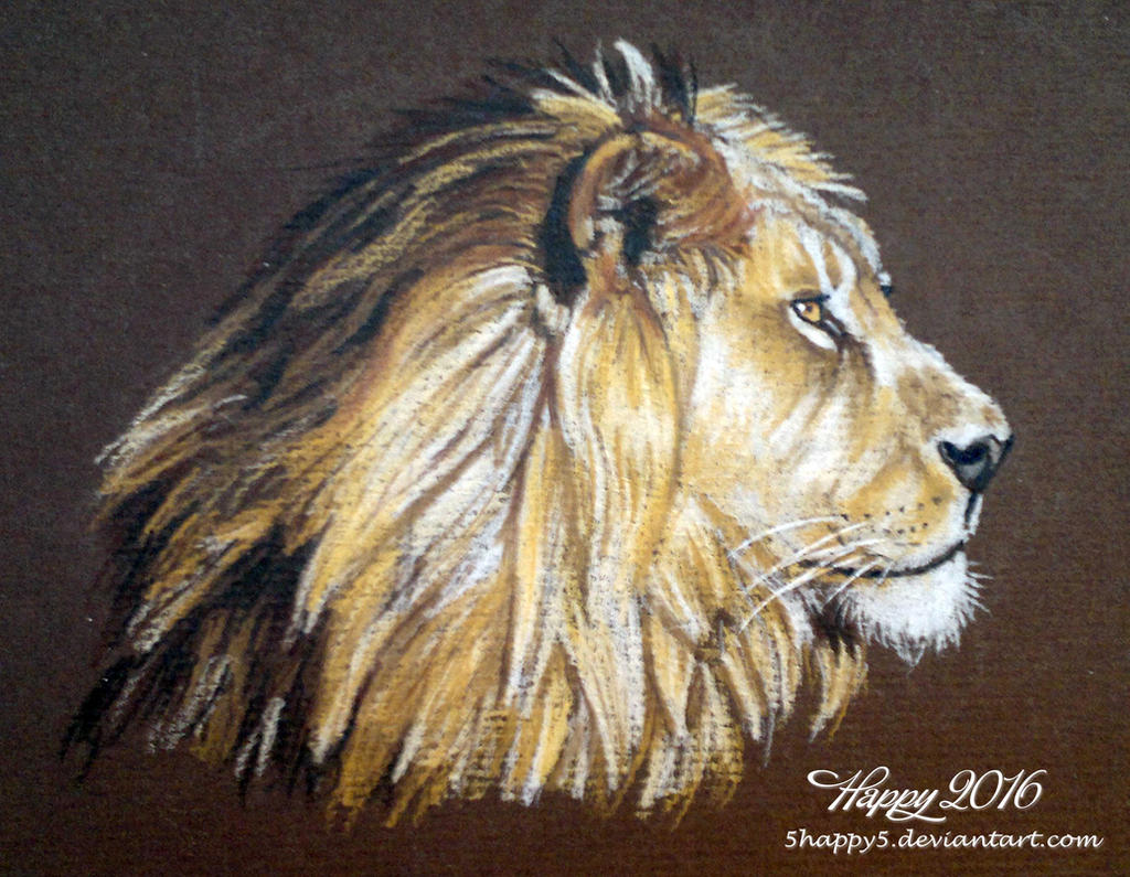 Lion Portrait