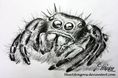 Jumping Spider by Happy5art