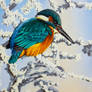Ice Bird