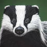 Badger