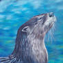Zen Otter Sketch