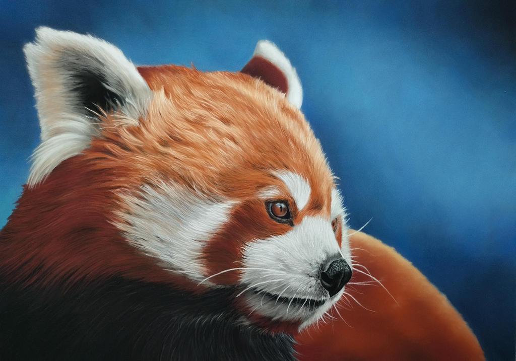 Red Panda