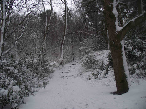 St Ives Snow Fullsize