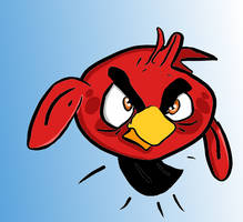 Angry bird