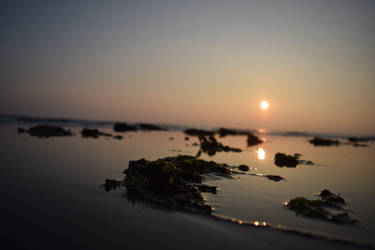 Shimmering Sands - Dinas Dinlle