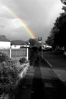 Rainbow's Follow Me...