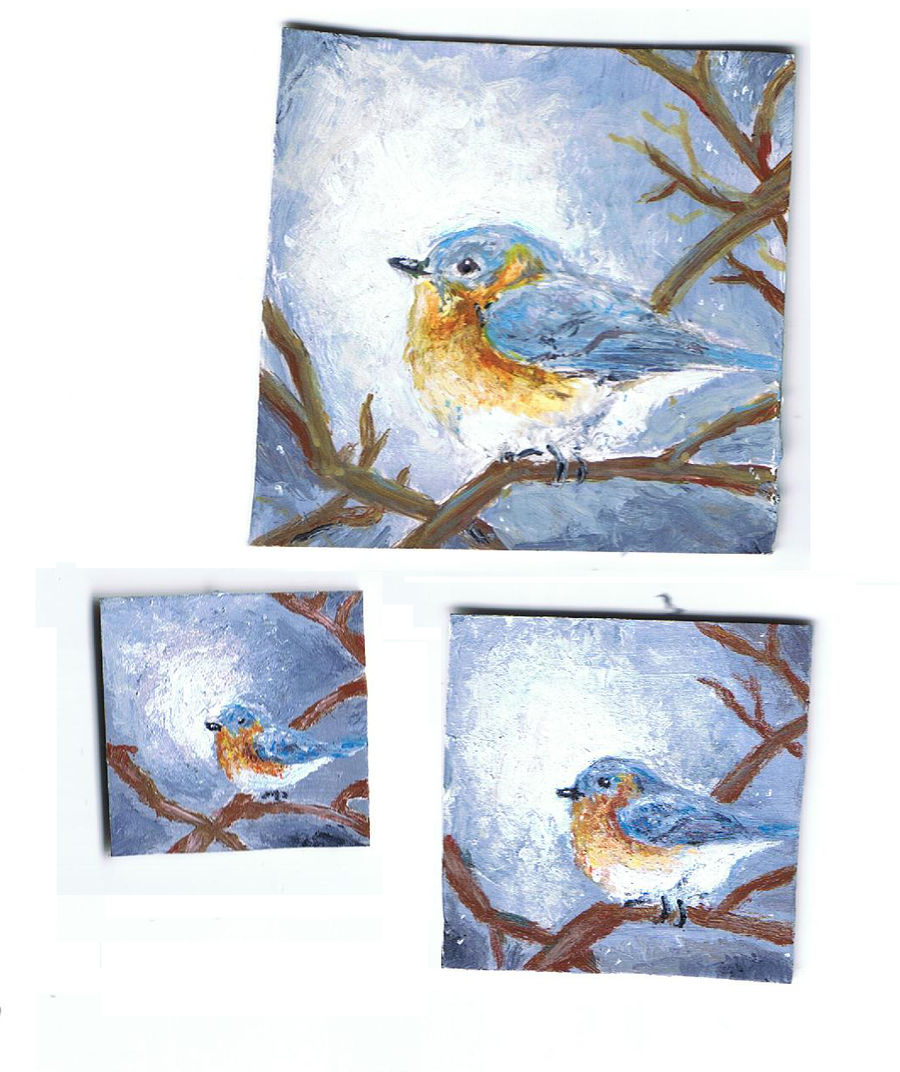 bluebirds -minis!