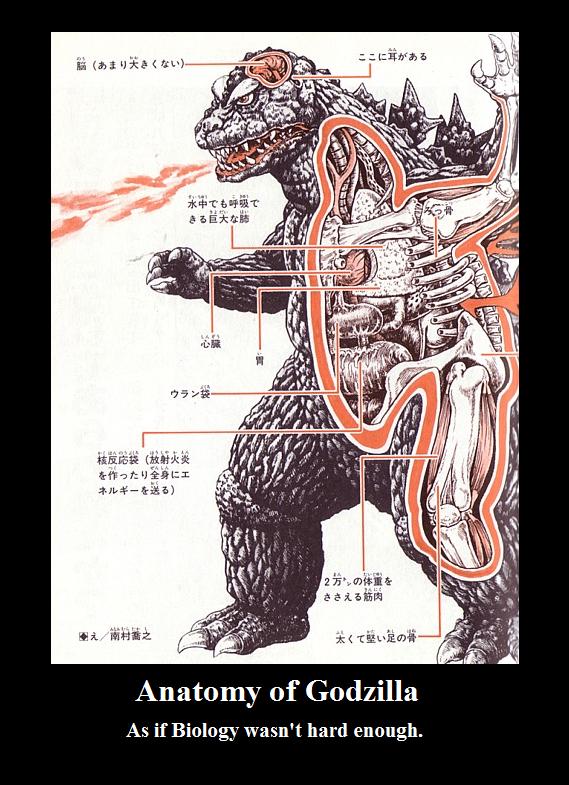 Anatomy of Godzilla