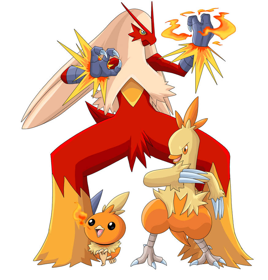 Torchip Evolution Torchic Evolution by Ninja-8004 on DeviantArt