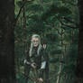 Legolas in the forest
