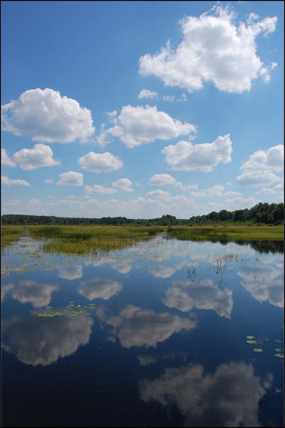 Water mirror by korbelsky