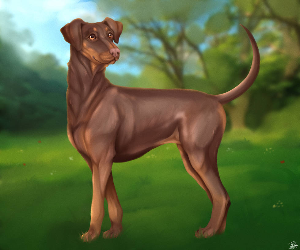 Dobi Vector Dobi Commission by RukaDogLady on DeviantArt