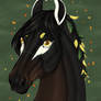 Commission - Lastrea