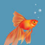 Mesh Goldfish